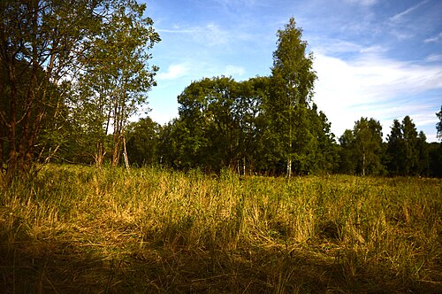 Marais de Dernford, Cambridgeshire