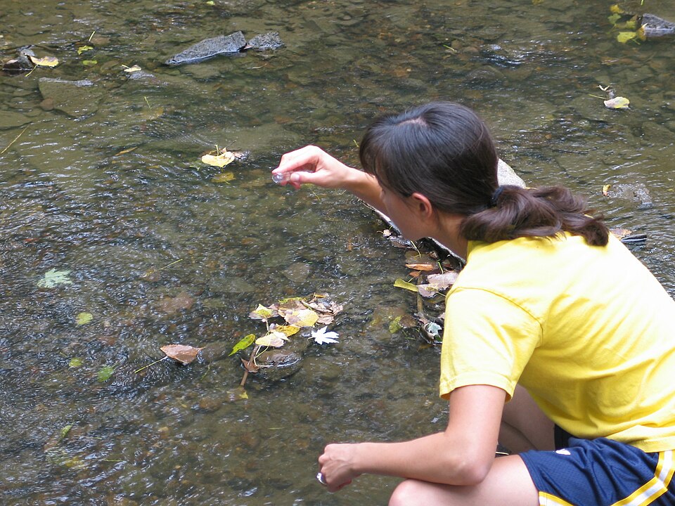 Une femme prélève des échantillons d'eau dans une rivière.