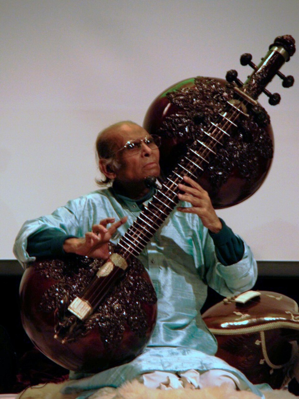 La rudra veena est un grand instrument à cordes pincées utilisé dans la musique classique hindoustanie. C'est l'un des principaux types de veena joués dans la musique classique indienne ; elle possède deux résonateurs en calebasse. La vichitra veena, également dotée de deux grands résonateurs, est un instrument similaire.