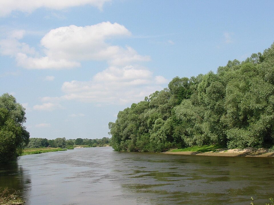 Rivière Bug aux alentours de Włodawa