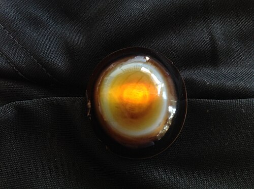 Pierre de Sardonyx