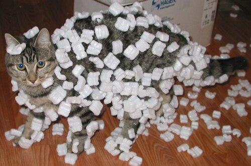 Un chat tigré couvert de cacahuètes d'emballage.