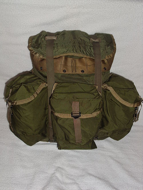 Sac à dos tropical (dos)