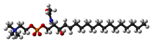 Modèle de sphingomyéline en boule et bâton