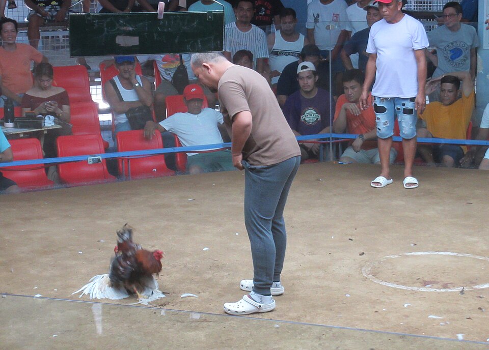 Arbitre ("sentensyador-koyme")