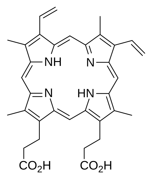 La protoporphyrine IX est un dérivé naturel de la porphine mère.