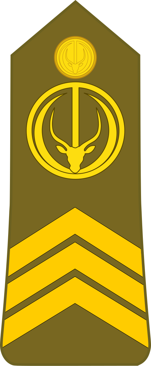 Sergent-major (Forces terrestres tchadiennes)