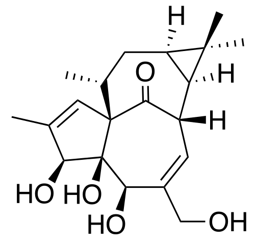 L'ingénol est un produit naturel terpénoïde complexe, apparenté au paclitaxel qui suit, mais plus simple que celui-ci, qui présente une structure cyclique complexe comprenant des cycles carbocycliques non aromatiques à 3, 5 et 7 chaînons.