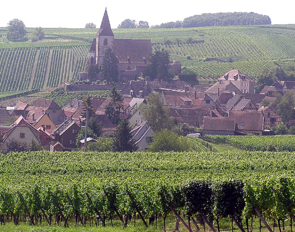 vignobles de Hunawihr et d'Alsace