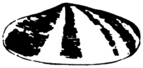 1900–1904
