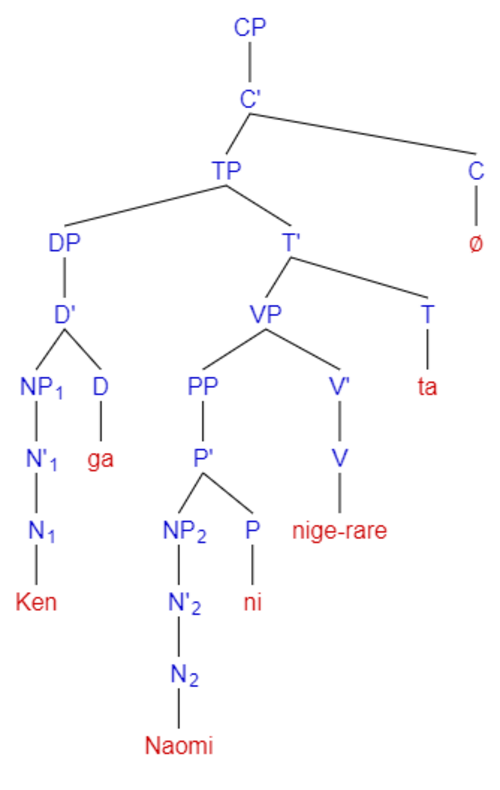 Structure arborescente de phrases passives indirectes sans interruption