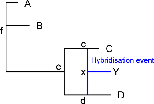 Exemple de réseau phylogénétique