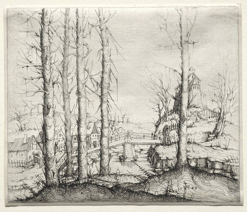 Augustin Hirschvogel, Paysage fluvial avec cinq épicéas nus, eau-forte, 1549