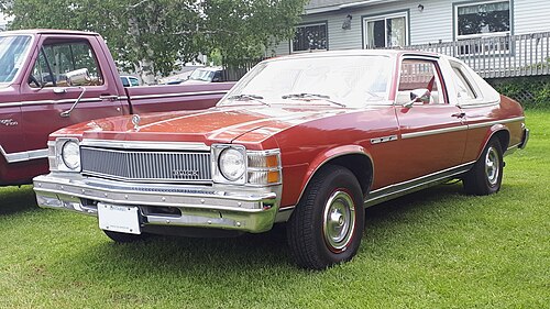 Buick Skylark 1979