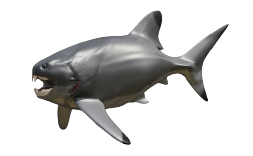 Dunkleosteus terrelli, un placoderme du Dévonien, peut-être le premier superprédateur vertébré au monde, reconstruction