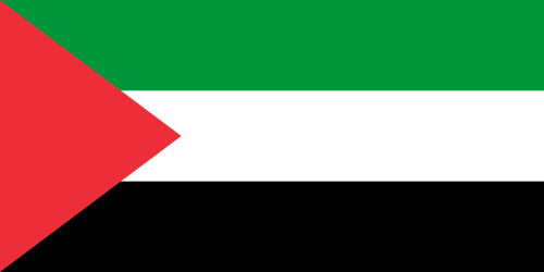 Drapeau palestinien de 1948 à 1964