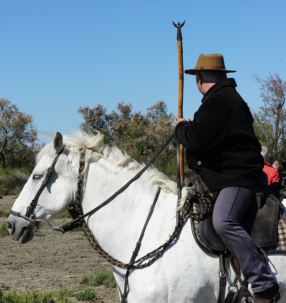 Trident de Camargue en France