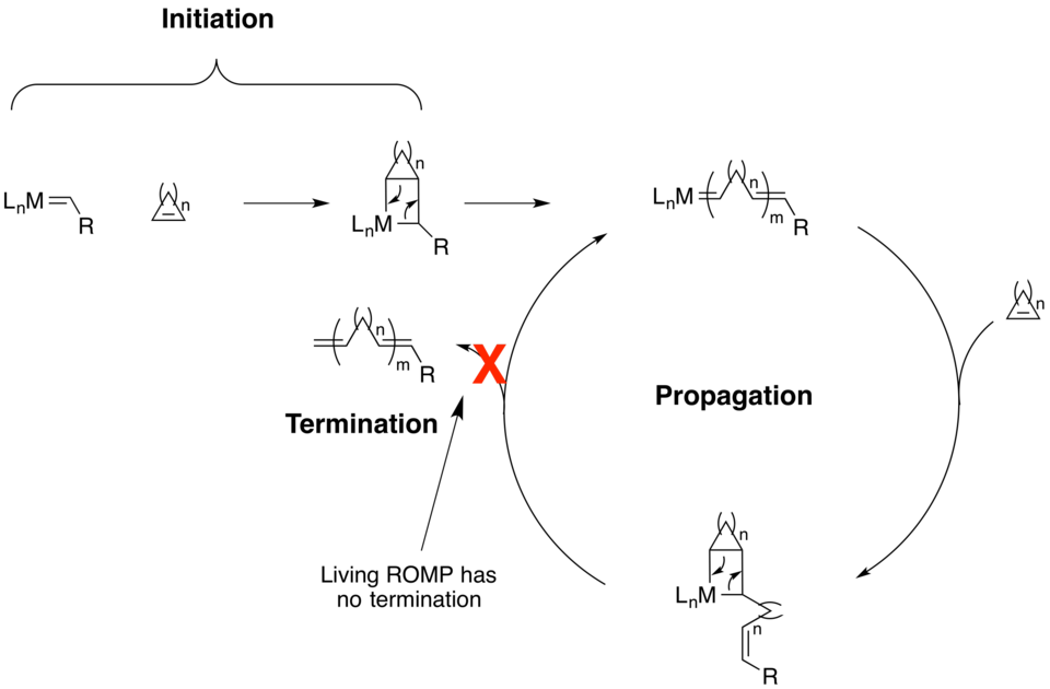 Le cycle catalytique d'une polymérisation par métathèse par ouverture de cycle vivante avec un catalyseur métallique. Notez que le cycle peut être de n'importe quelle taille, mais doit contenir une certaine contrainte cyclique significative sur l'alcène.