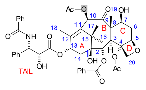 Paclitaxel, un produit naturel polycyclique avec un noyau tricyclique : avec un cycle D hétérocyclique à 4 chaînons, fusionné à d'autres cycles carbocycliques à 6 et 8 chaînons (A/C et B) (non aromatiques), et avec trois autres cycles phényles pendants sur sa « queue », et attaché à C-2 (abrév. Ph, C6H5 ; aromatiques).