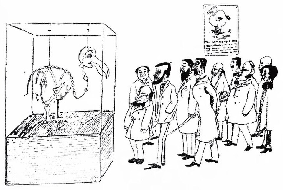 Stuffed whitish dodos