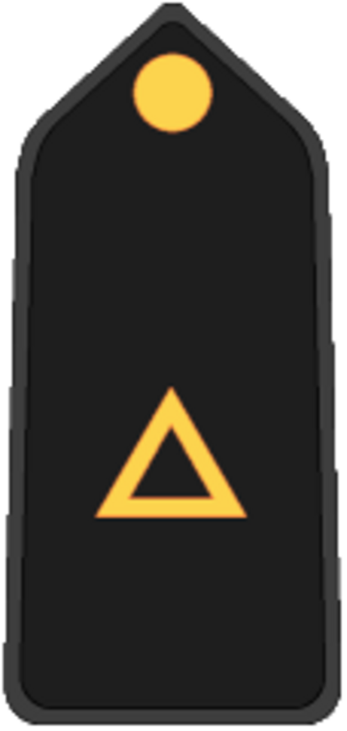 Sous-traitant (Police militaire brésilienne et Corps des pompiers militaires)