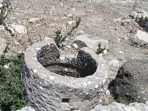 Anneau de broyage - Volubilis