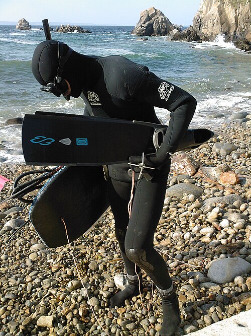 Chasseur sous-marin en combinaison de plongée.