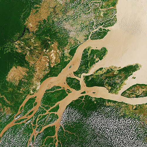 Fleuve Amazone
