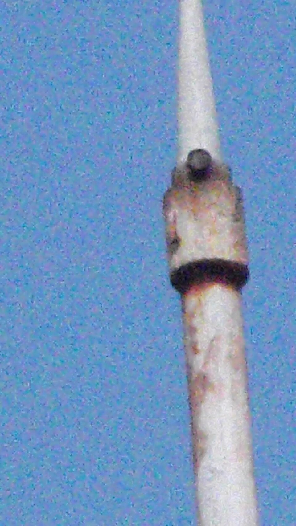 Prise de vue à main levée. Zoom 72×, zoom optique 10× et zoom numérique 7,2× pris en pleine résolution 16 MP, mais redimensionné à 2 MP pour le téléchargement, ISO 800, 1/680, F/14,0, plus de bruit, mais les détails sont plus clairs. Le grossissement dans la zone de zoom numérique détériorée est de 72× : 10 = 7,2×, plus le nombre est grand, plus l'image est mauvaise