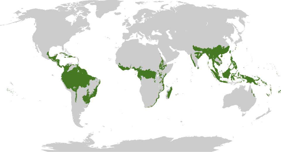 régions forestières humides