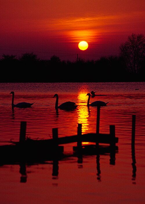 Réservoirs de Tring au coucher du soleil