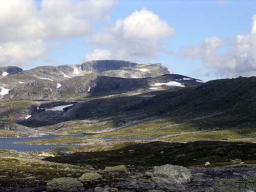 Sandfloegga vu de Holmasjøen à Vinje