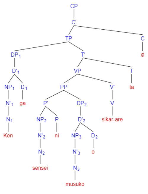 Structure arborescente de la phrase passive possessive indirecte